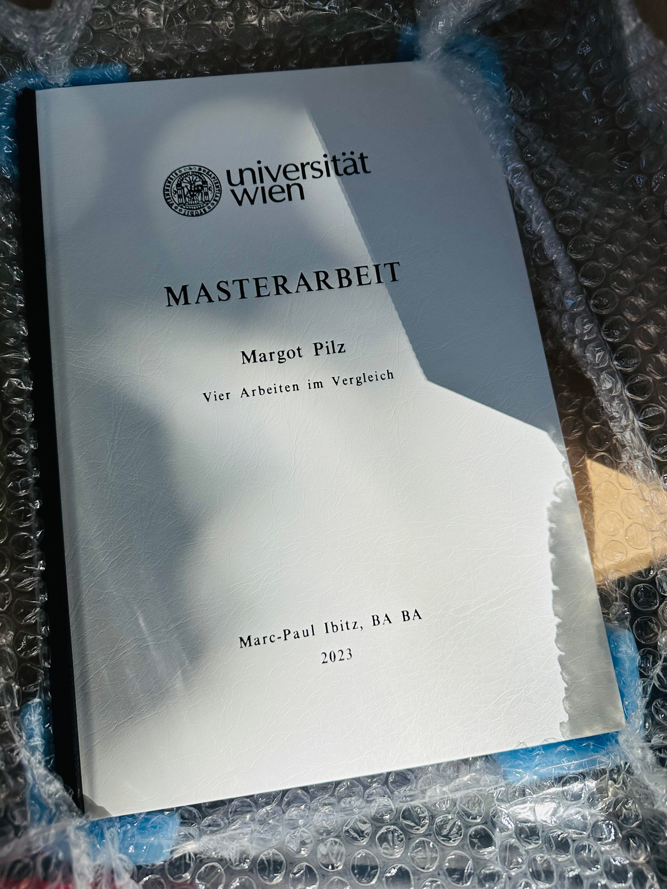 Margot Pilz - Masterarbeit von Marc-Paul Ibitz